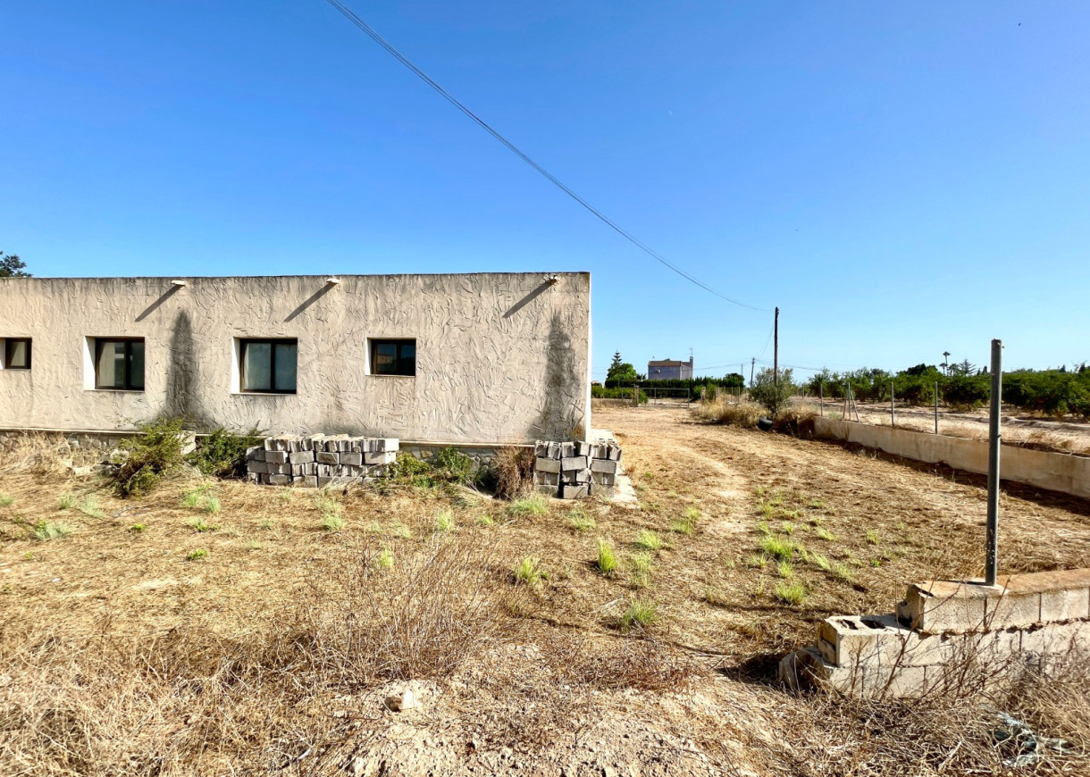 Resale - Finca / Country Property - Elche - Matola