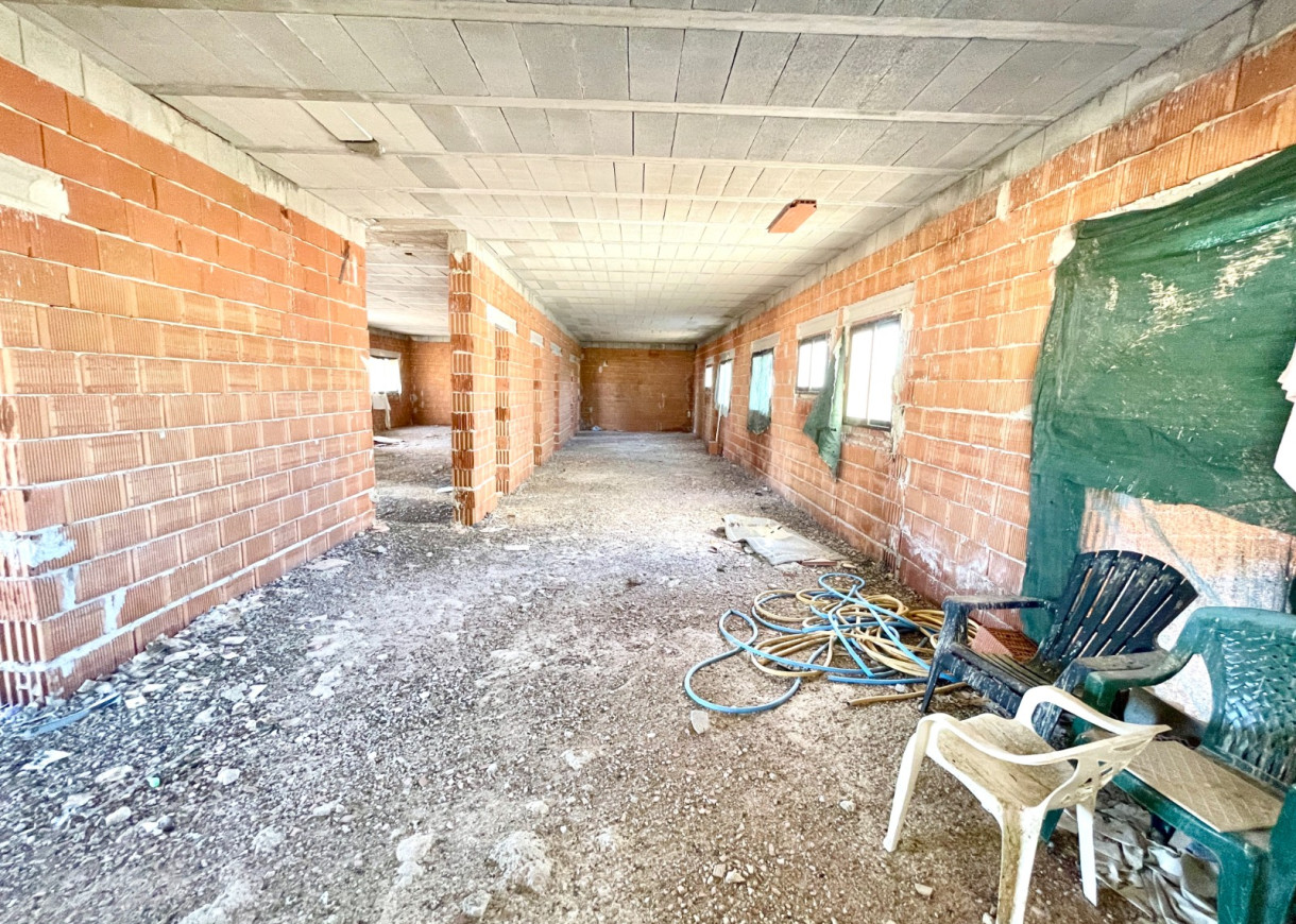 Resale - Finca / Country Property - Elche - Matola