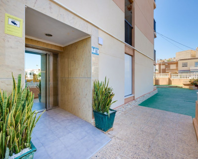 Long time Rental - Apartment - Torrevieja - Torreblanca