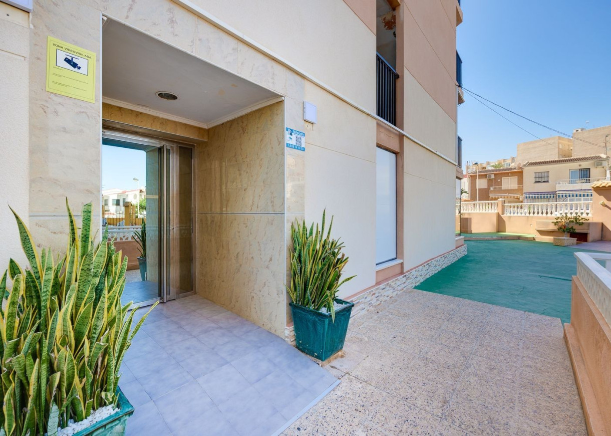 Long time Rental - Apartment - Torrevieja - Torreblanca