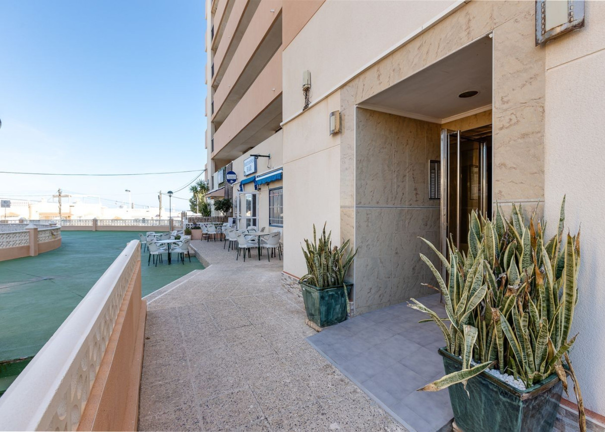 Long time Rental - Apartment - Torrevieja - Torreblanca