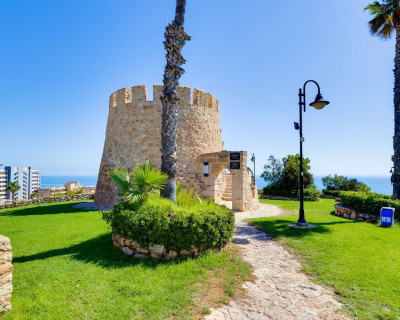 Long time Rental - Apartment - Torrevieja - Torreblanca