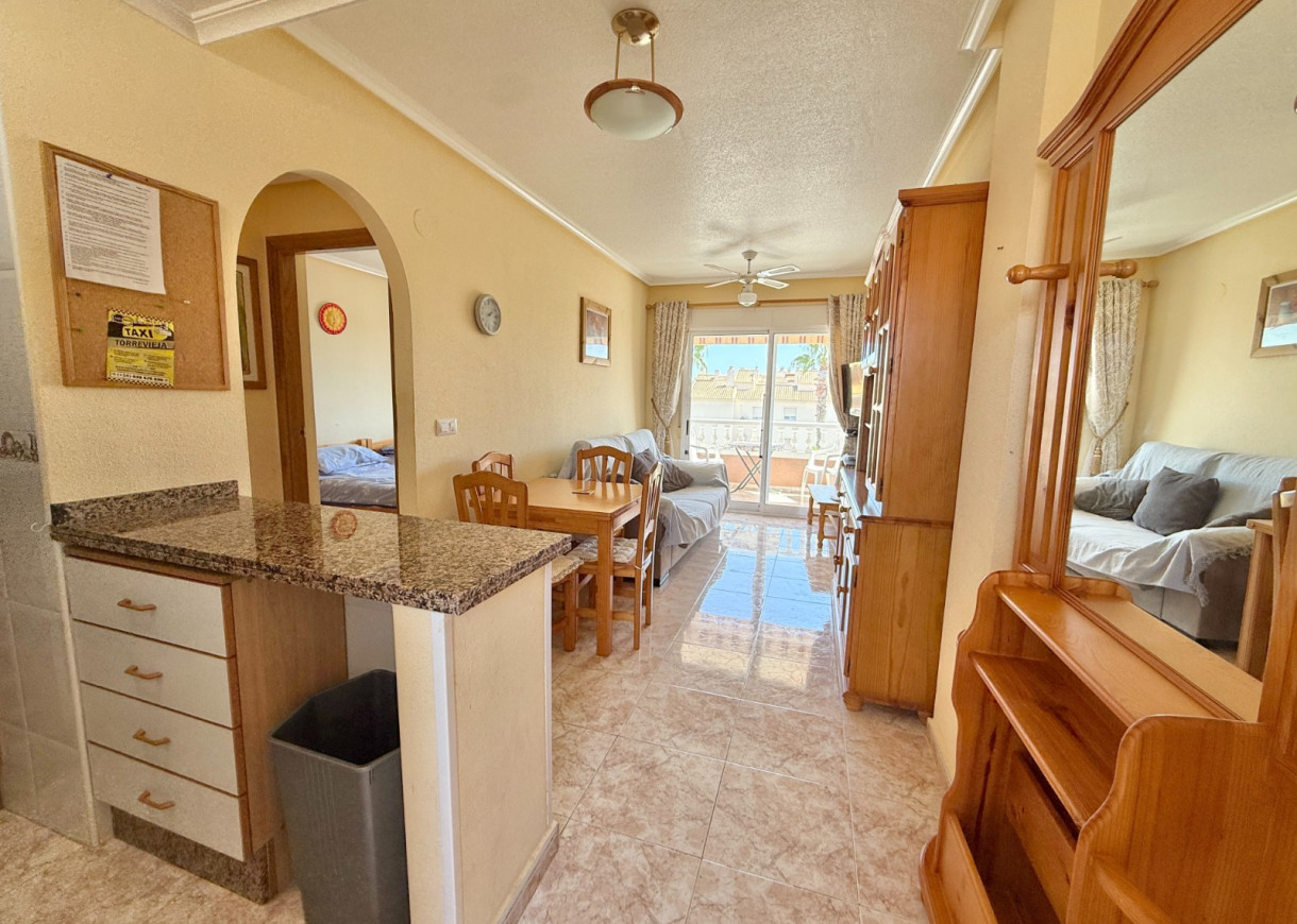 Long time Rental - Apartment - Torrevieja - Torreblanca
