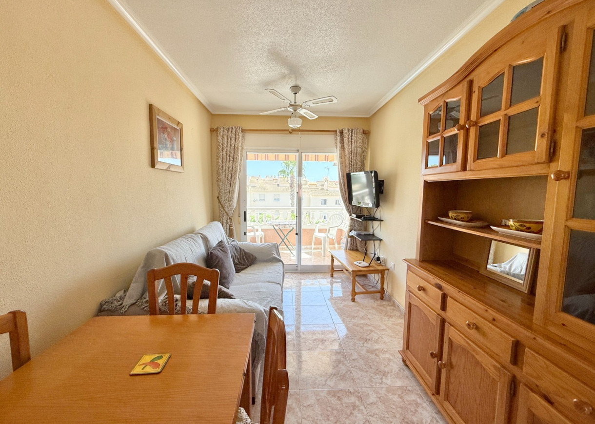 Long time Rental - Apartment - Torrevieja - Torreblanca
