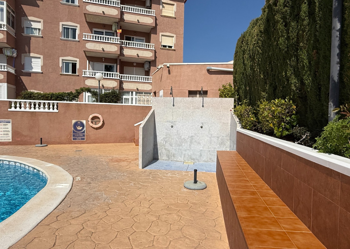 Long time Rental - Apartment - Torrevieja - Torreblanca
