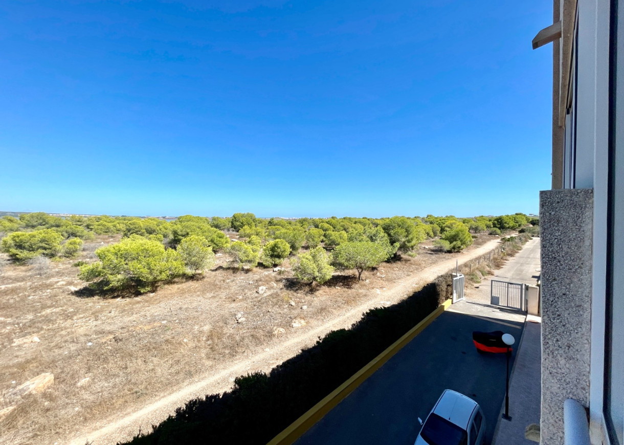 Venta - Apartment - Flat - La Siesta