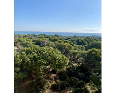 New Build - Penthouse - Guardamar del Segura - CENTRO