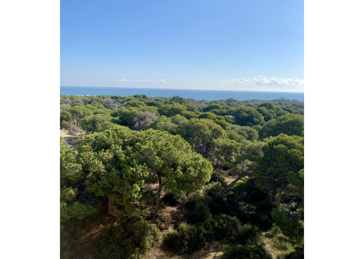 New Build - Penthouse - Guardamar del Segura - CENTRO