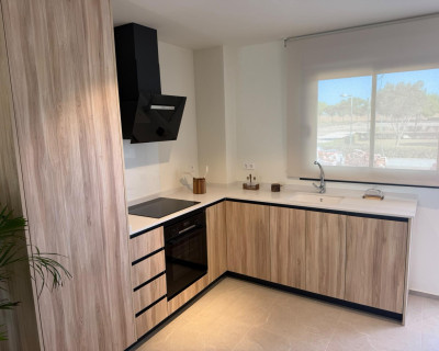 New Build - Villa - Pilar de la Horadada - pueblo