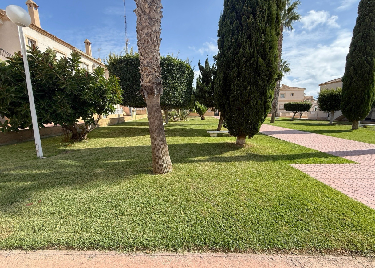 Long time Rental - Lägenhet - Torrevieja - Aguas Nuevas