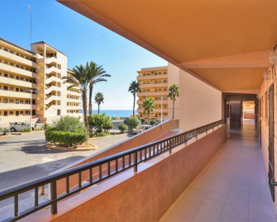 Long time Rental - Lägenhet - Torrevieja - Cabo Cervera